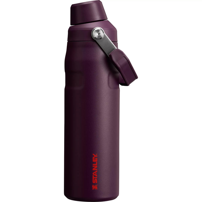 Load image into Gallery viewer, Stanley 24 oz. The IceFlow Fast Flow Bottle
