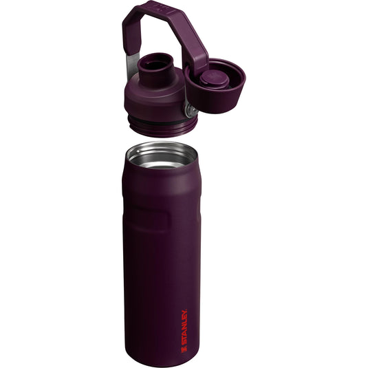 Stanley 24 oz. The IceFlow Fast Flow Bottle