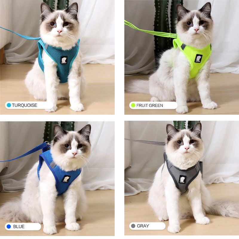 Load image into Gallery viewer, The Wanderlust Cat Adventure Harness by Dog Hugs Cat
