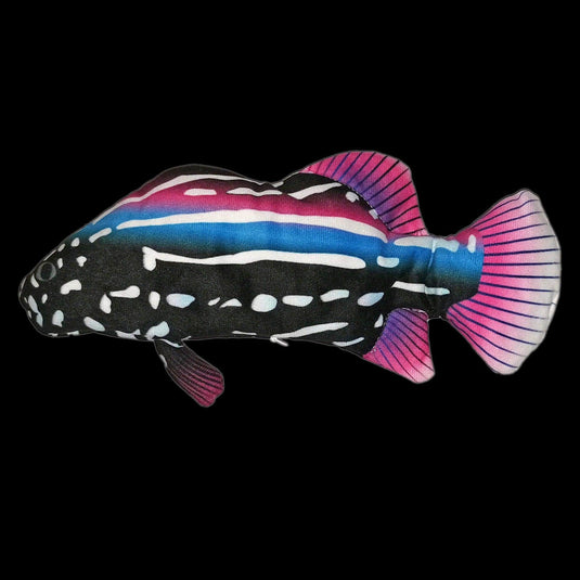 Electric Fish Funpal - Interactive Toy For Cats by Dog Hugs Cat