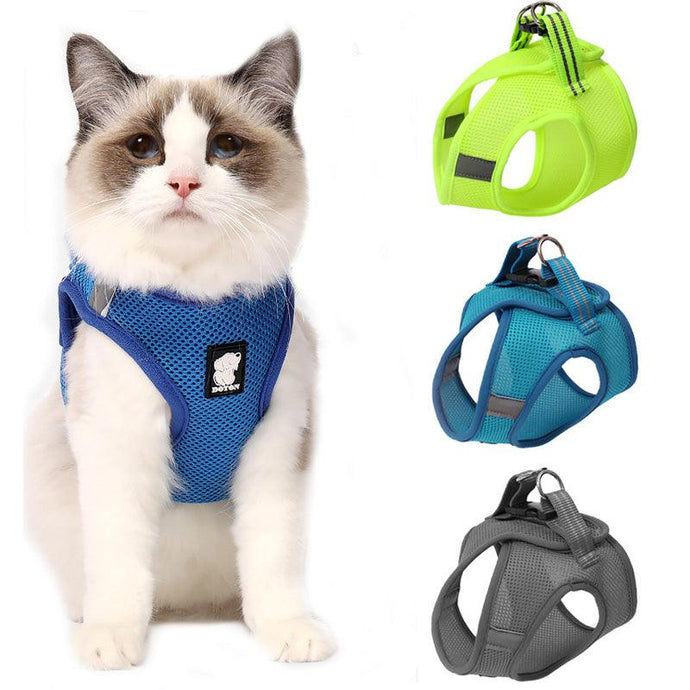 The Wanderlust Cat Adventure Harness by Dog Hugs Cat