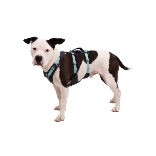 Ruffwear Flagline Harness