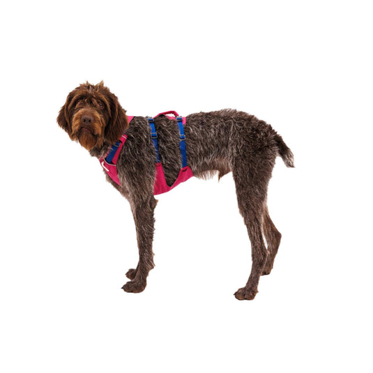 Ruffwear Flagline Harness