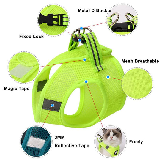 The Wanderlust Cat Adventure Harness by Dog Hugs Cat