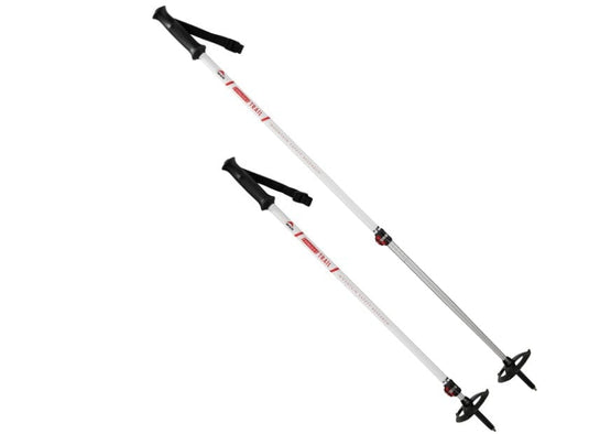 RENTAL MSR Snowshoe Poles