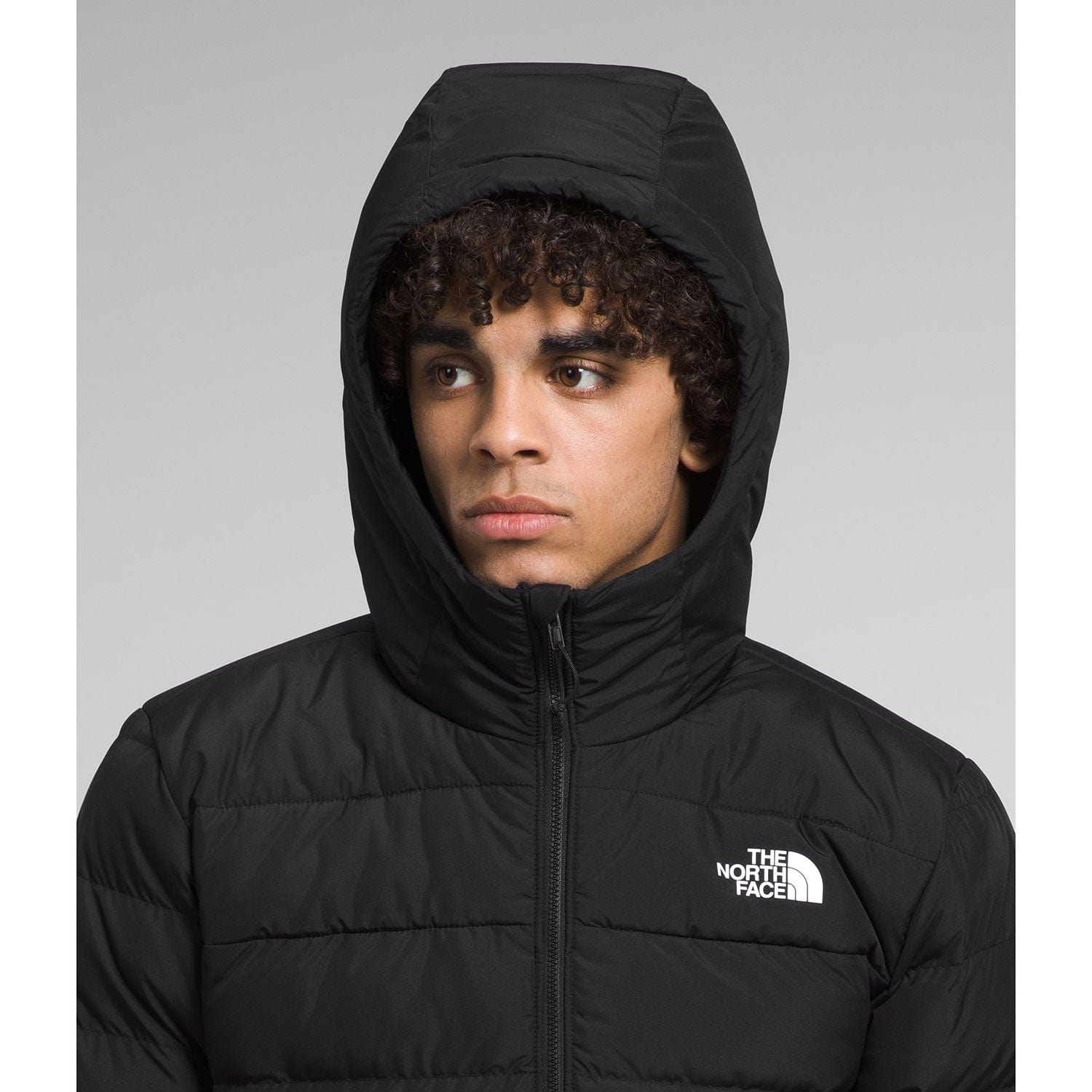 North face aconcagua hooded jacket men's hotsell