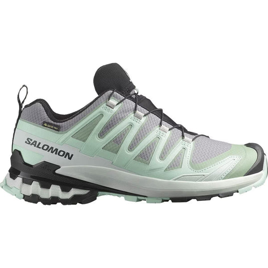 Salomon Women's XA Pro 3D V9 Gore-Tex Trail Running Shoes