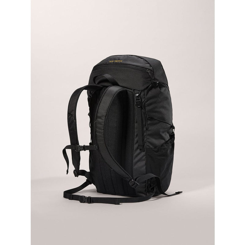 Load image into Gallery viewer, Arc&#39;teryx Mantis 30 Backpack
