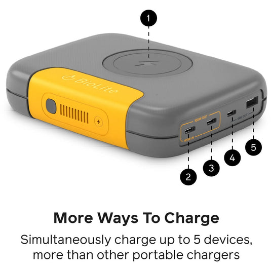 Biolite Charge 100 MAX