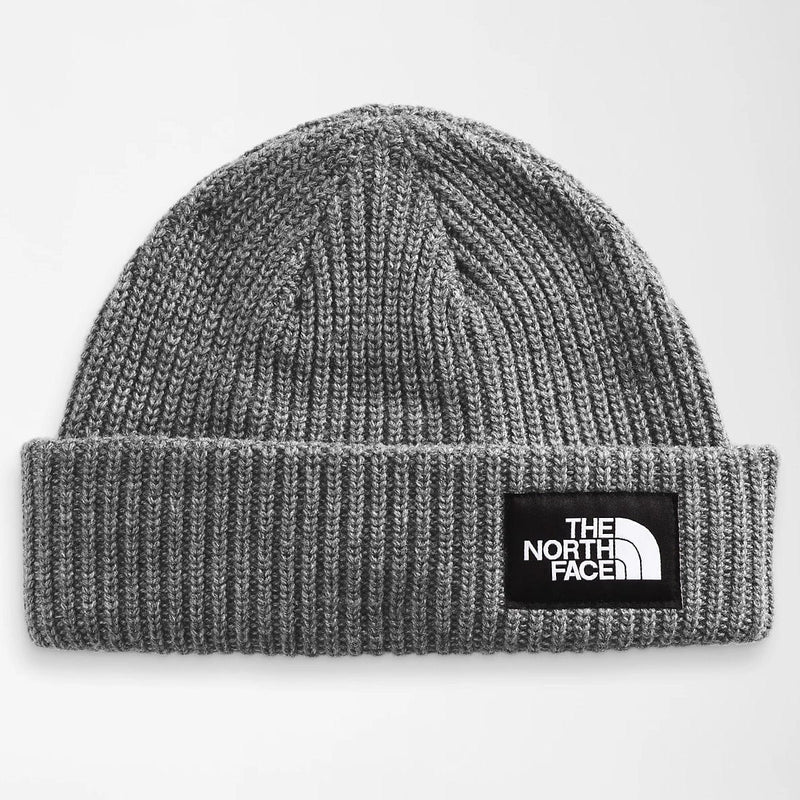 Load image into Gallery viewer, The North Face Salty Dog Lined Beanie
