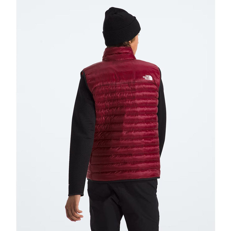 Load image into Gallery viewer, The North Face Men&#39;s Terra Peak Vest
