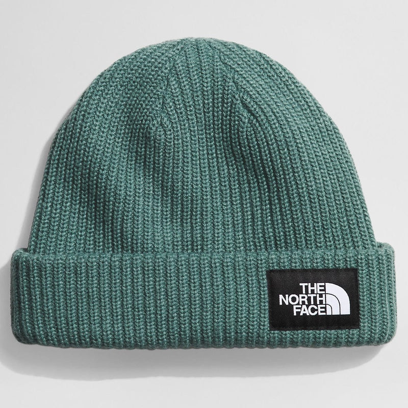 Load image into Gallery viewer, The North Face Salty Dog Lined Beanie
