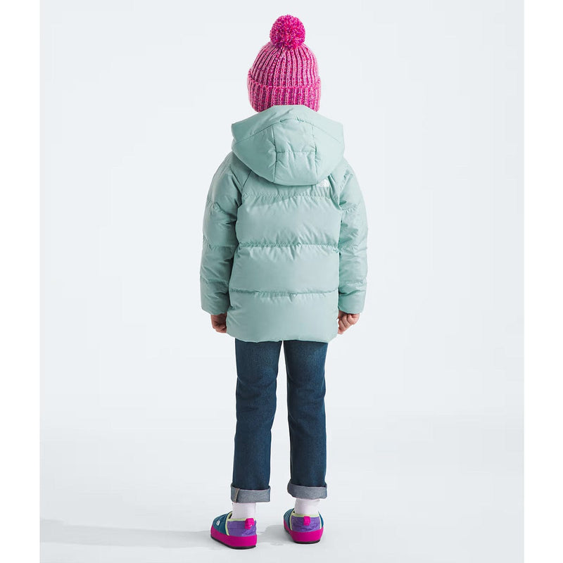 Load image into Gallery viewer, The North Face Kids&#39; North Down Fleece-Lined Parka
