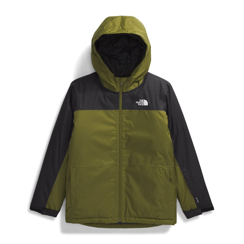 Load image into Gallery viewer, The North Face Boys&#39; Freedom Insulated Jacket
