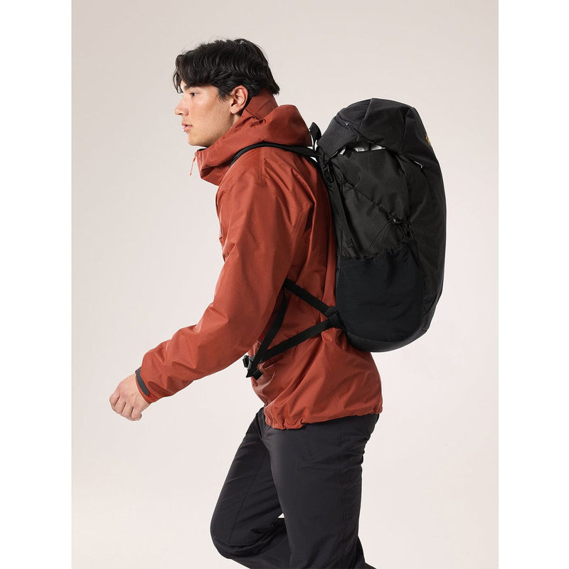 Load image into Gallery viewer, Arc&#39;teryx Mantis 30 Backpack
