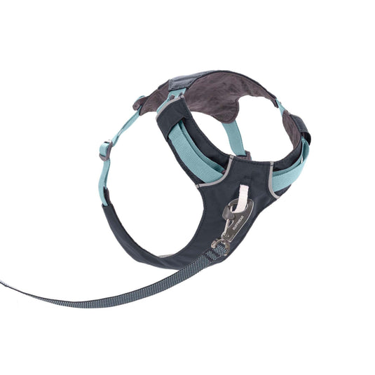 Ruffwear Hi & Light Harness