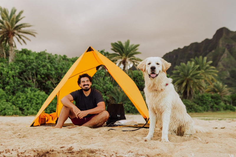 Load image into Gallery viewer, Pismo A-Frame Portable Beach Tent by Picnic Time Family of Brands
