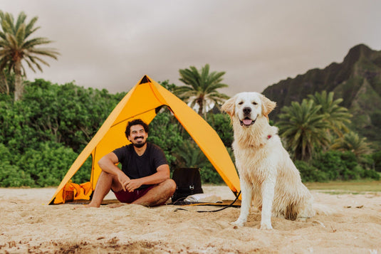 Pismo A-Frame Portable Beach Tent by Picnic Time Family of Brands